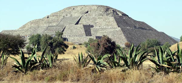 Pyramid of the Sun and maguey