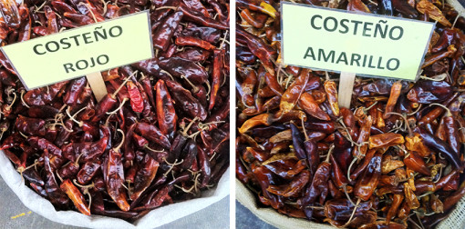 CHILE COSTEÑO — Las Ficheras