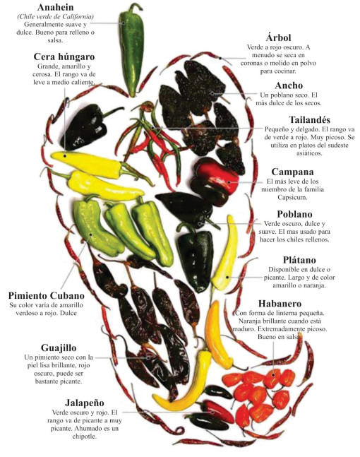 EL CHILE — Las Ficheras