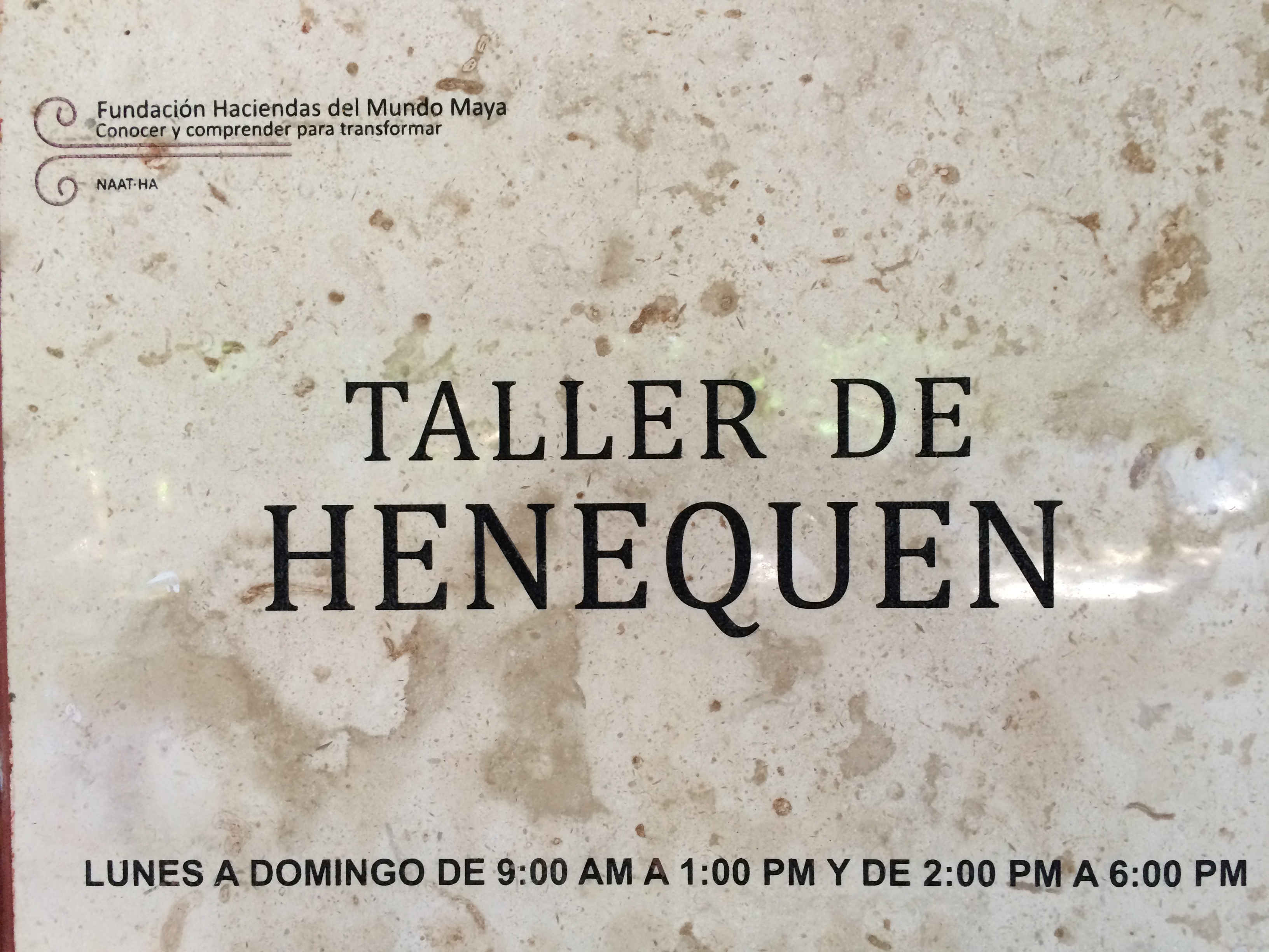 TALLER DE HENEQUEN
